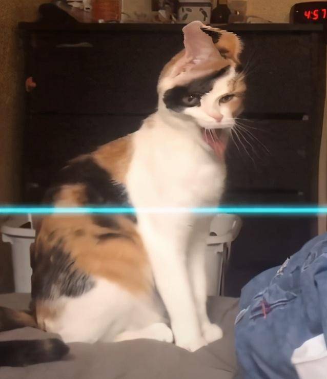 9dcab2a293d646598ceb0ee6a057e73d.jpeg
