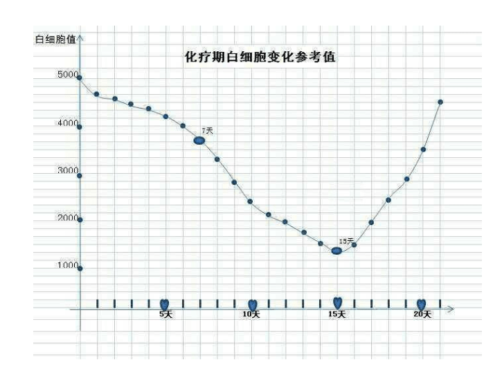 化疗原理是什么_化疗是什么过程图解(2)