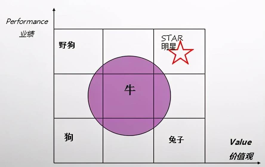 北上广不相信眼泪,阿里巴巴不相信325