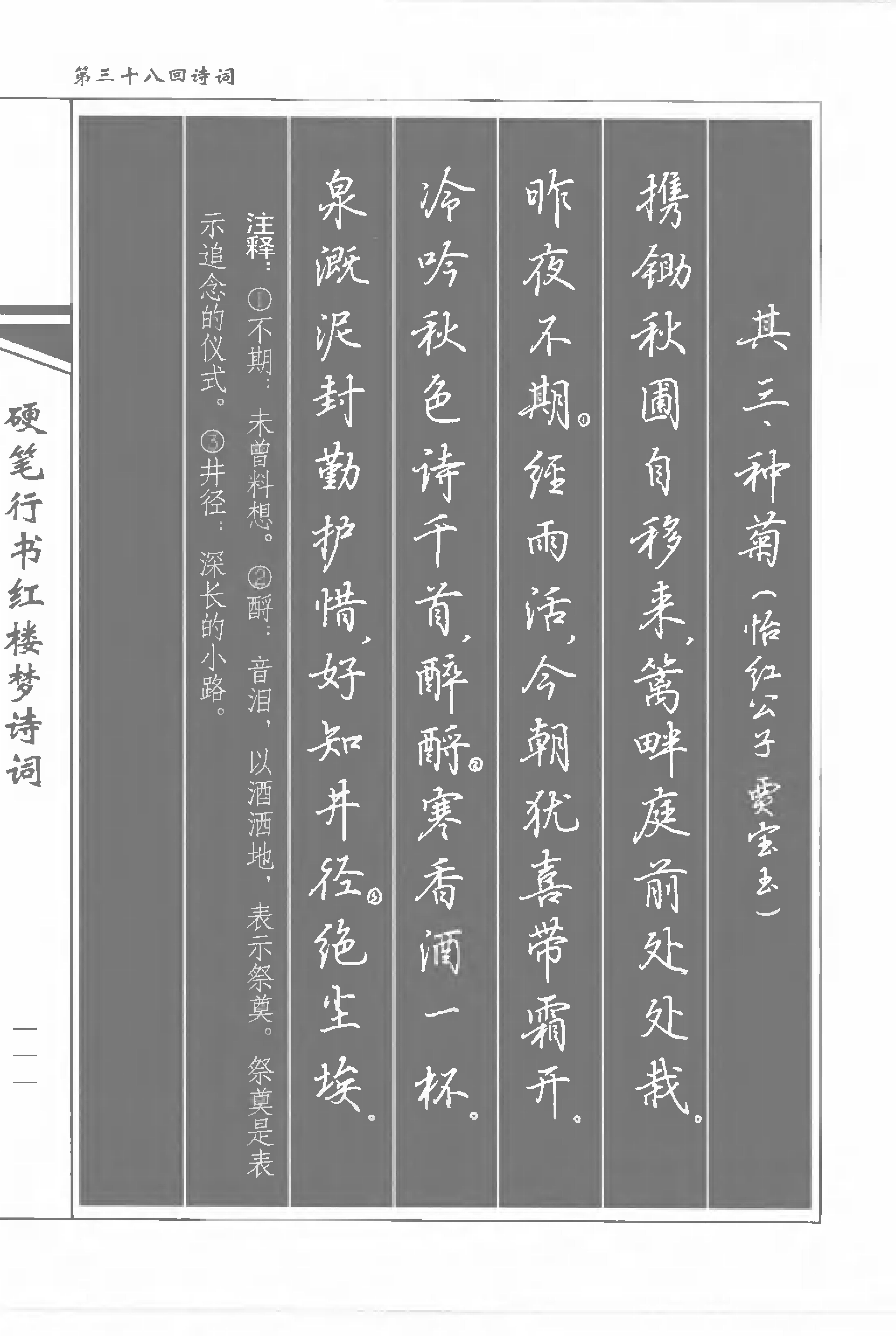 书法家吴玉生硬笔行书红楼梦诗词练字好字帖轻松学书法