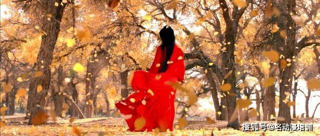 颜色|初学者如何快速找到自己的色感