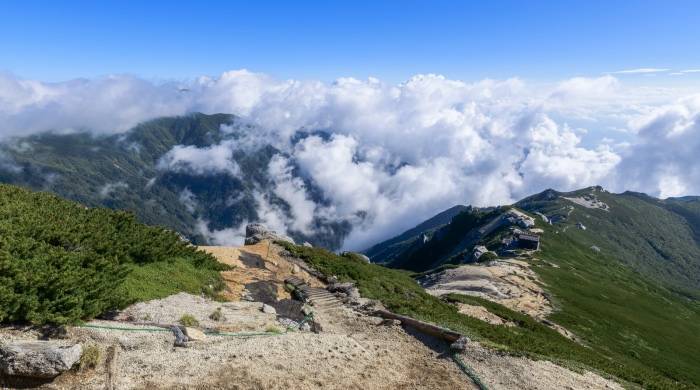 价格低了还有更低，家电经销商必须学会卖服务！-家电圈官网