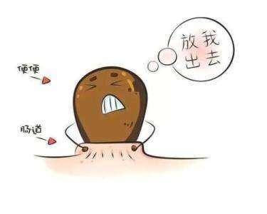 大便堵在肛门口,排不出来咋办?牢记1个方法,专调"顽固"便秘