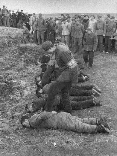 挨批斗什么意思 2476a3cc6a7b4a9eb1855edf4b244ad9.jpeg