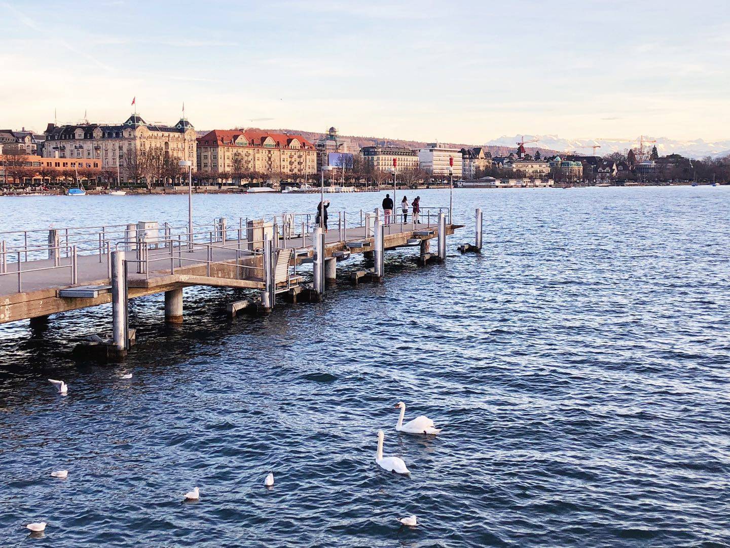 创业板|周期股全面活跃，创业板下跌超过3%，该不该及时调仓换股？