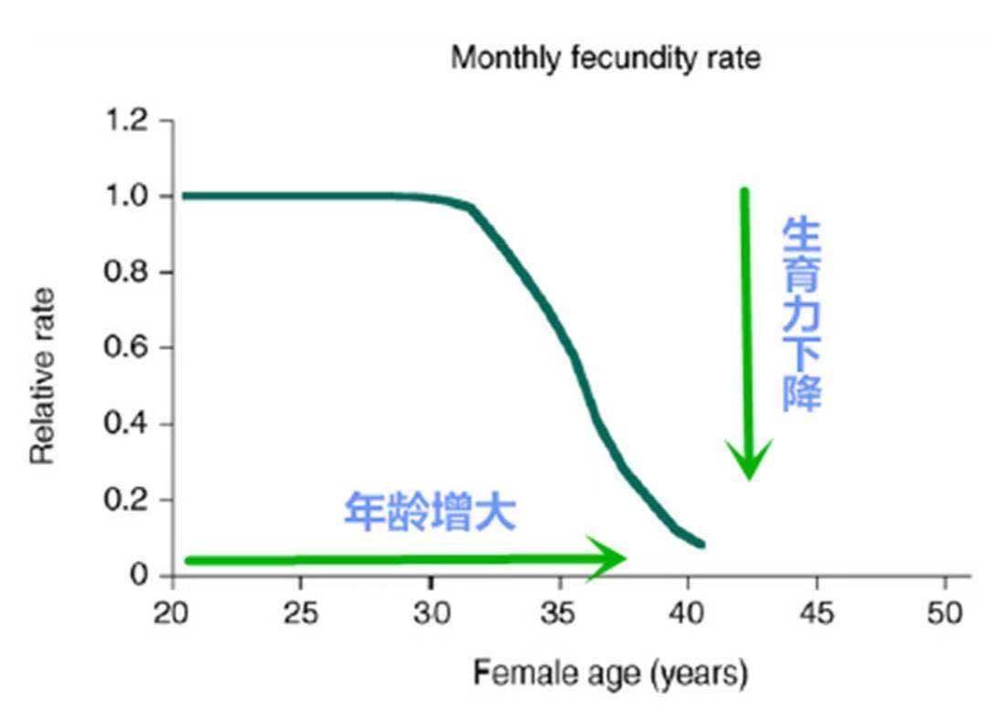 误区|“试管婴儿”常见误区，您踩雷了吗？（系列1）