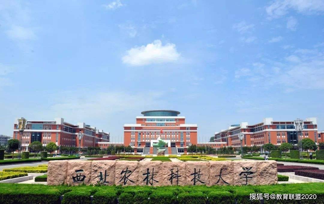 陕西211大学排名2020排名_2020年校友会西安市最好大学排名:陕西师范大学居
