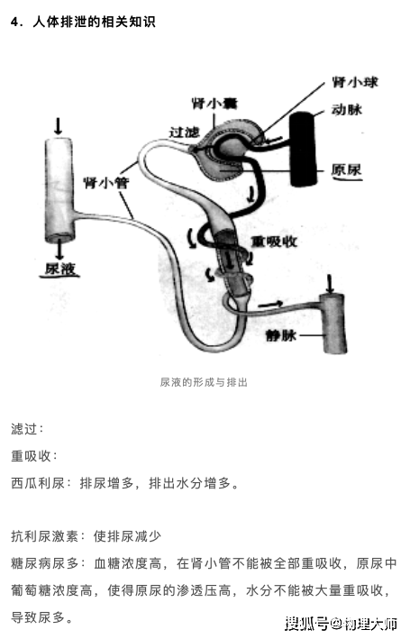 指导|考生别错过！高中生物：2021高考一轮复习知识点汇总