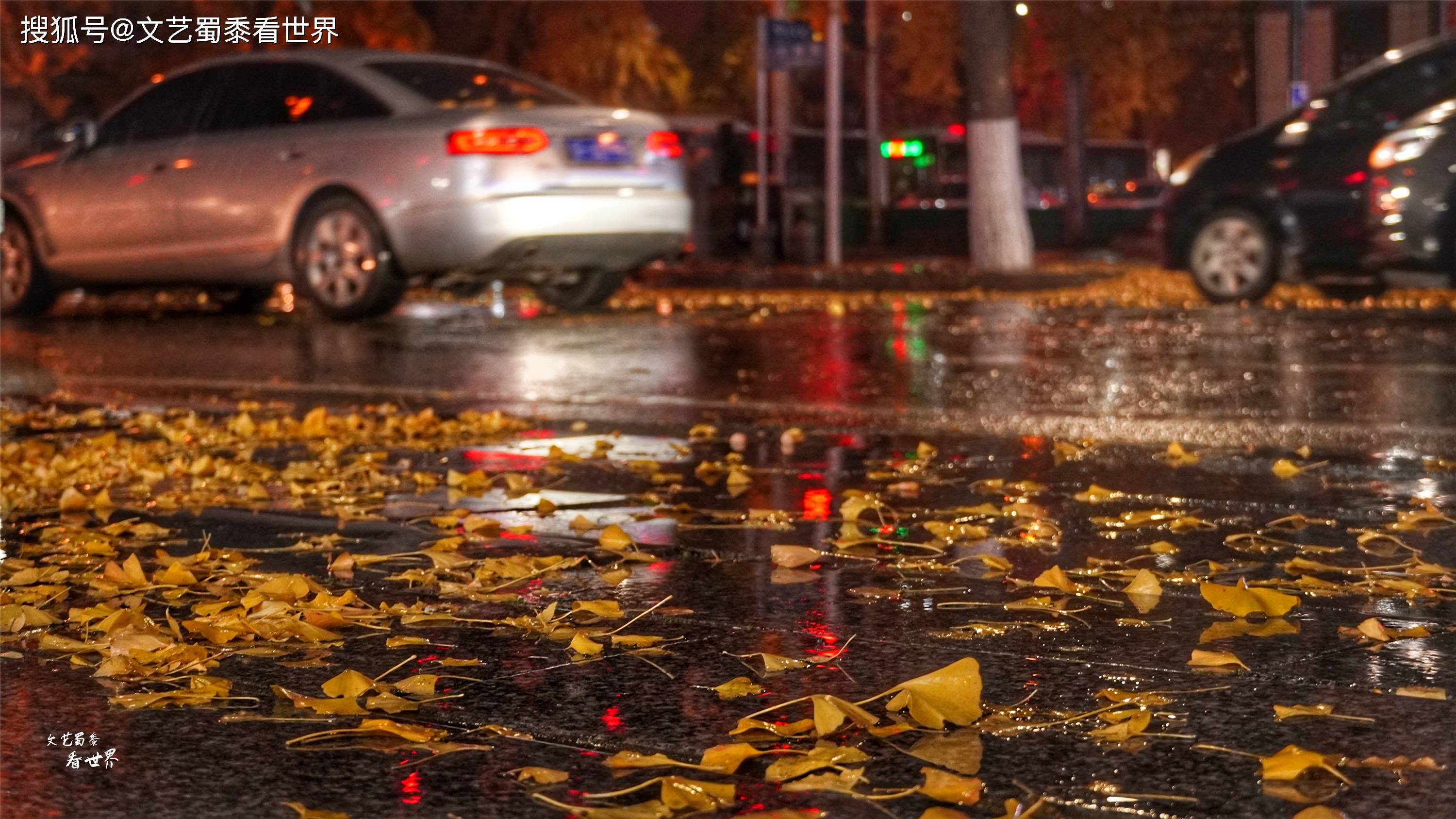 原创我想带你在丹东的街头走一走在深秋的雨夜它美得令人感动