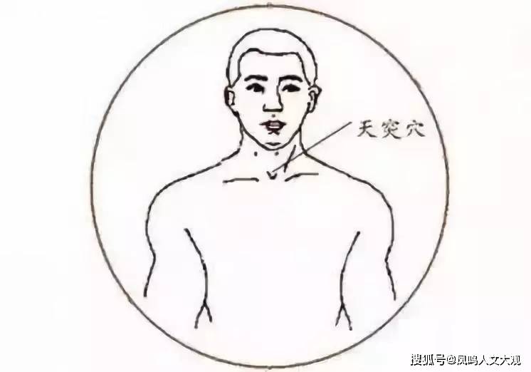喉骨什么成语_喉骨图片(5)