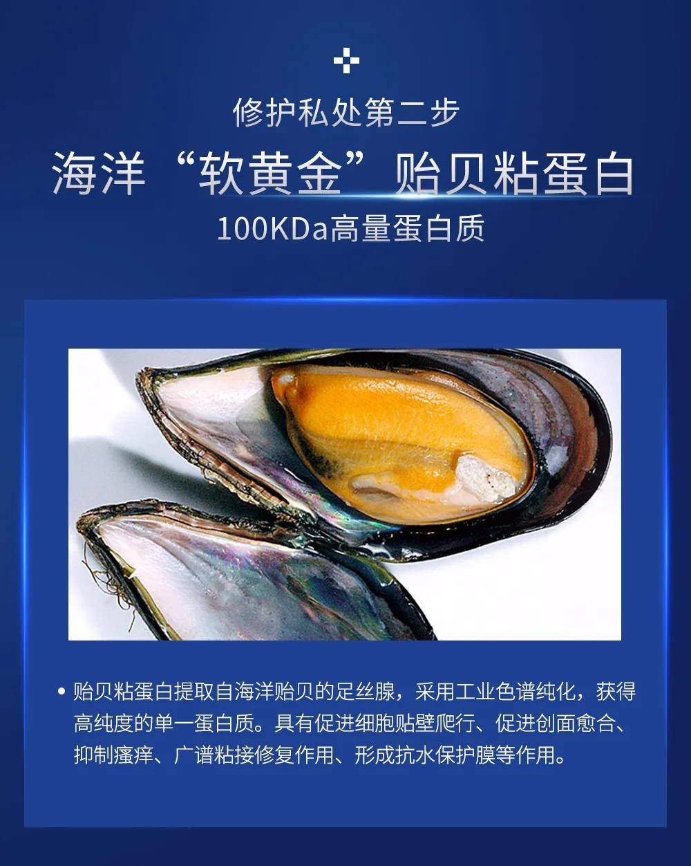 博美尼贻贝粘蛋白抑菌凝胶——粘膜修复专家 生物医学新材料 博美尼贻贝粘蛋白抑菌凝胶——粘膜修复专家 生物医学新材料