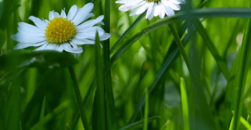 嘴皮子|“动动嘴皮子”就能挣大钱？这些专业太想选了