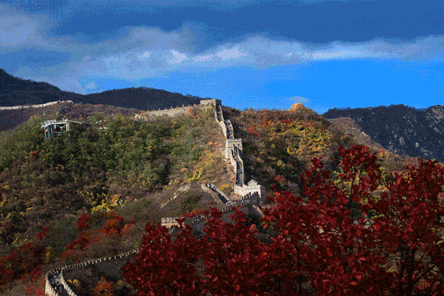 北京秋游倒计时!爬山,赏叶,观鸟…随便你怎么嗨!
