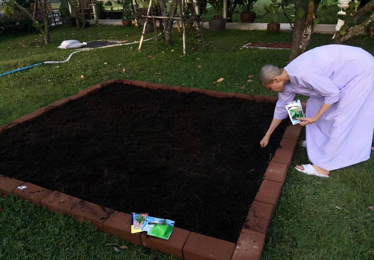 随行|泰王也走亲民路线？坐地铁出行，全车厢空座随行官员却都跪在地上