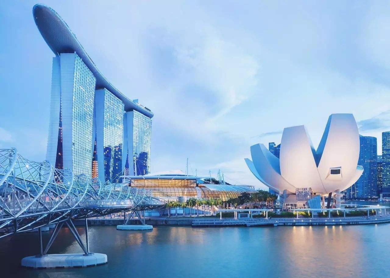 新加坡大多数是华人，但是为何独立后立刻废除了汉语？