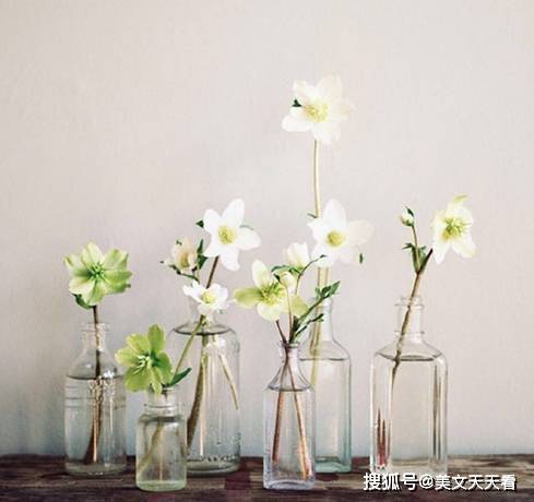 生命花的启示