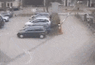 搞笑gif段子:鸽子:我出车祸了,对方是一群摩托车