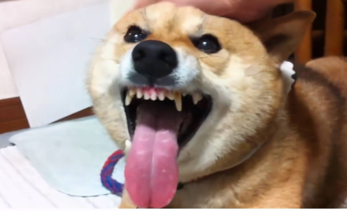 0309d34bba034b52ba725ac1d03cb10b.jpeg