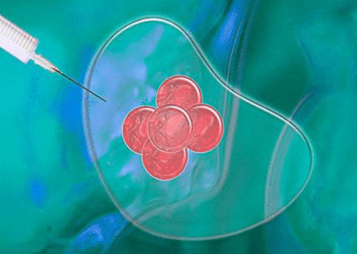 国外科学家实验视频 a76ed39c827948cdb468ca5508f718c6.png