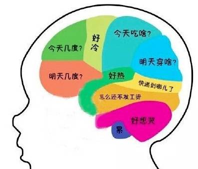 db78d1a6fd24497fbfb301f939fd8996.jpeg