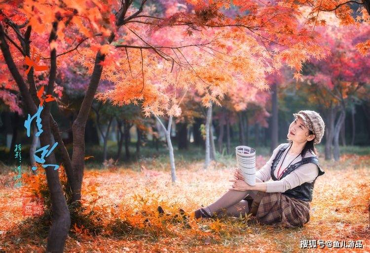 人像摄影组图:深秋枫林,火红情思_枫叶