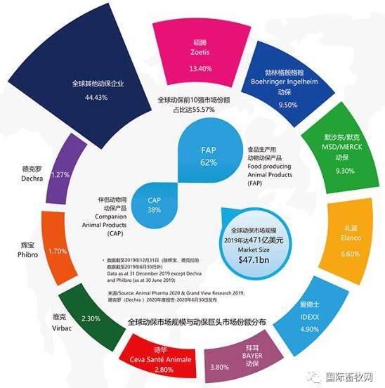 2020年全球上市公司_2020年全球动保企业三十强榜单