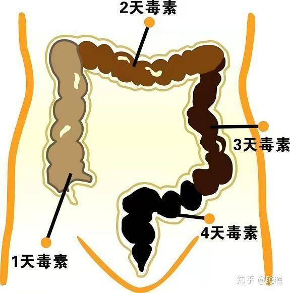 女人口臭怎么办