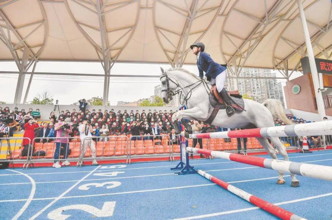 马术学习是趋势:武汉首开全国先河,在区域内26所小学试点马术公开课