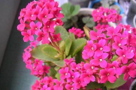 79fd270d1c2443c8ab9173f15144efa0.jpeg