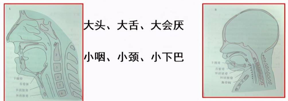 小儿气道手术特点 小儿呼吸道解剖特点