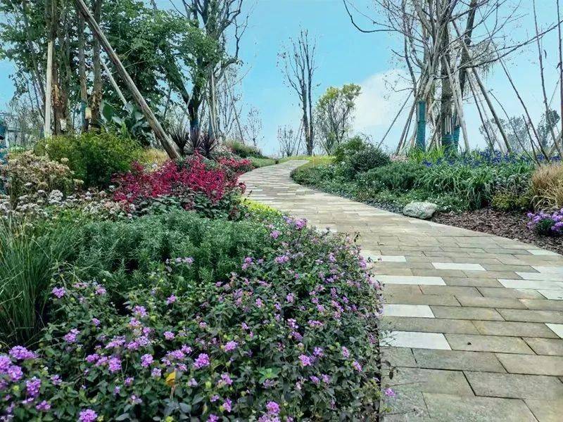 自然丨美翻了!东安湖公园“花境样板”~-搜狐大视野-搜狐新闻