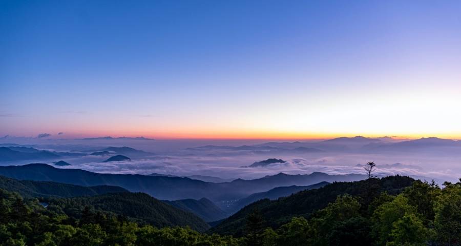 一些家电企业今年已走出一轮市场经营新周期-家电圈官网
