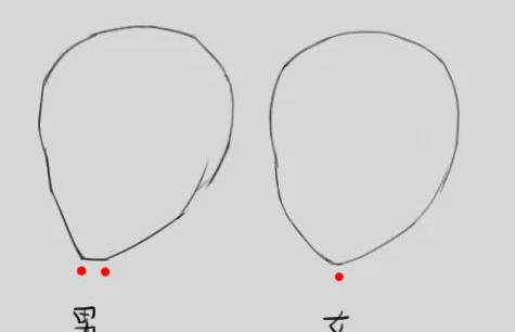 【推荐】如何画人物头部|初学者怎么画人头|一步一步教你画人头