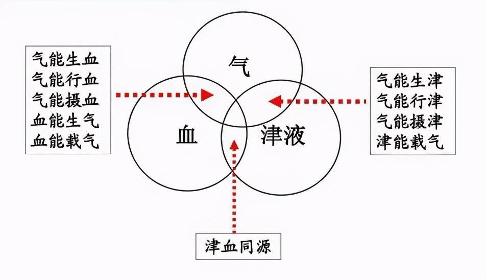 原创人活一口气,如何理解气?从孟子浩然正气到王充《论衡》解读气