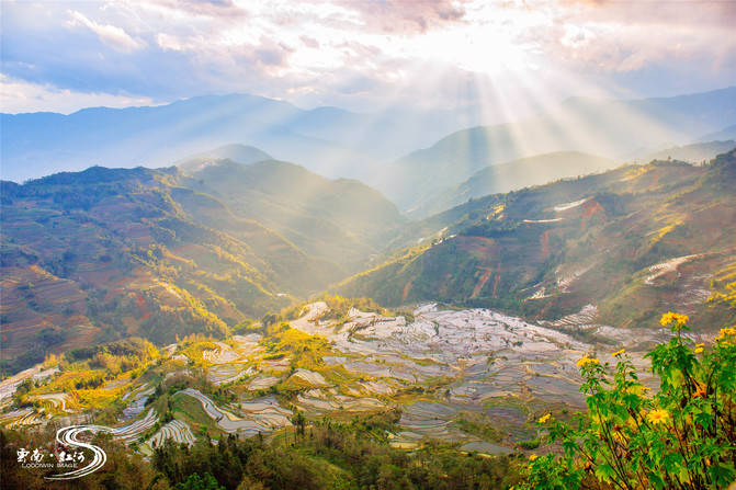 藏在云南山间的绝美梯田，观日出日落绝佳观赏地，看完你都会心动