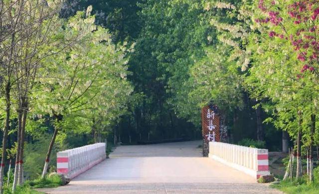 明港镇gdp多少_明港镇(3)