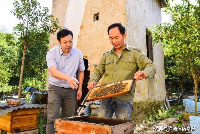 驻村第一书记金时恒通过推广智慧农村建设,助力岩后村产业发展.