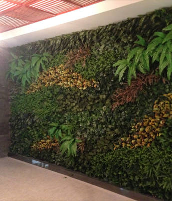 什么是立体绿化 379fb2b0e24c40a48a773fbbd171b120.jpeg