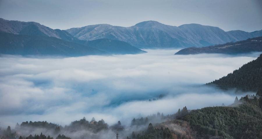 新一轮家电消费新政来了！但厂商却兴奋不起来-家电圈官网