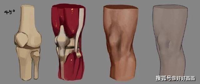 动漫人物膝盖结构画法