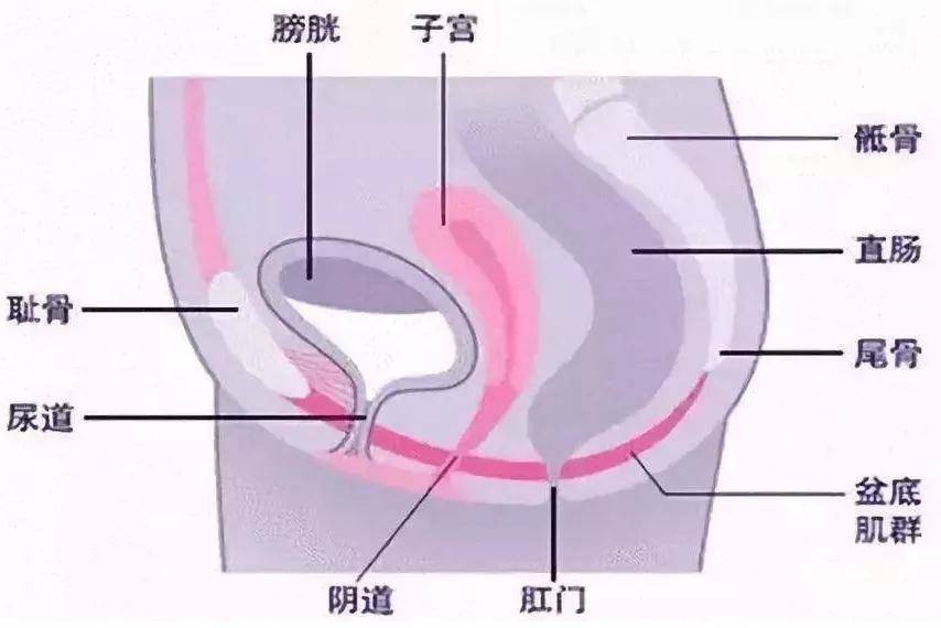 建议:宝爸要多多安慰,多加鼓舞宝妈,同房时宝爸动作轻柔,前期可以