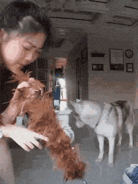 搞笑gif段子看起来这两个小姐姐的反应能力真的是不一样啊居然还能