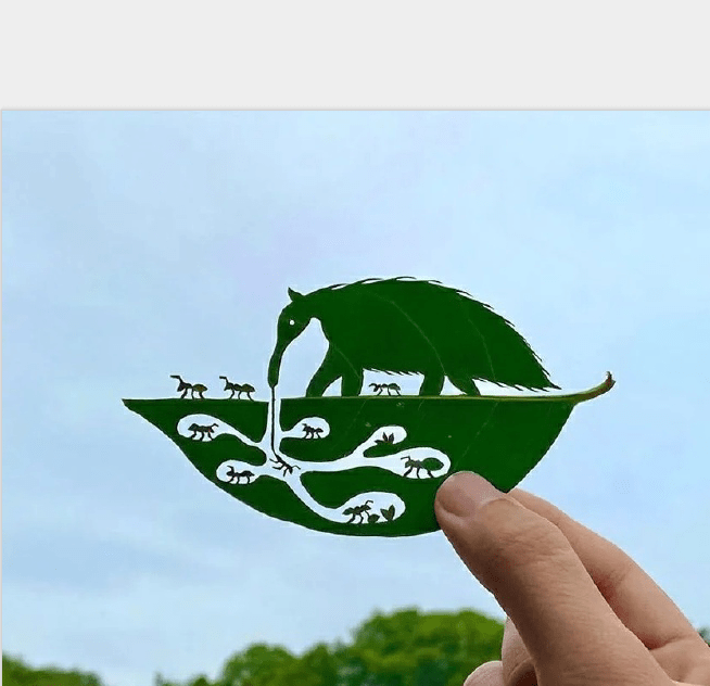 8255aef825ee4346aadc0b8f21a67a20.png