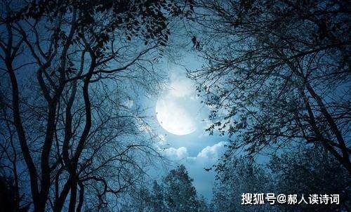 读此诗,如身临其境,不自觉幻化出一幅山中月夜美景,随着诗人游览其中