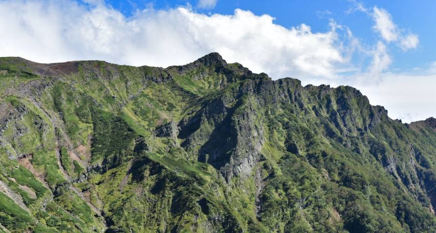 家电业再迎政策红利:美的方太长虹荣耀惠而浦勇闯天涯-家电圈官网