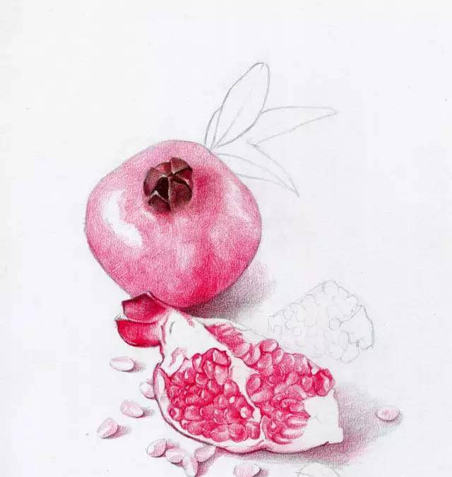 铅笔画一步一步的教程|适合新手画的铅笔画(附彩铅全套视频教程)