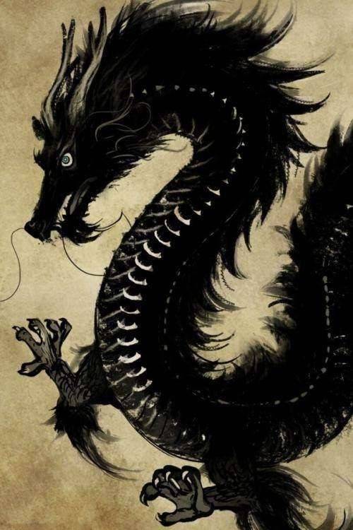 8 黑龙黑龙,通体漆黑的神龙,乃是龙族体魄最强的龙种,也是最危险的龙