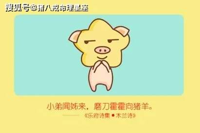 如何让自己有个美好的晚年生活 a1991a96f18e46e6b42afc30f0ffa18e.jpeg