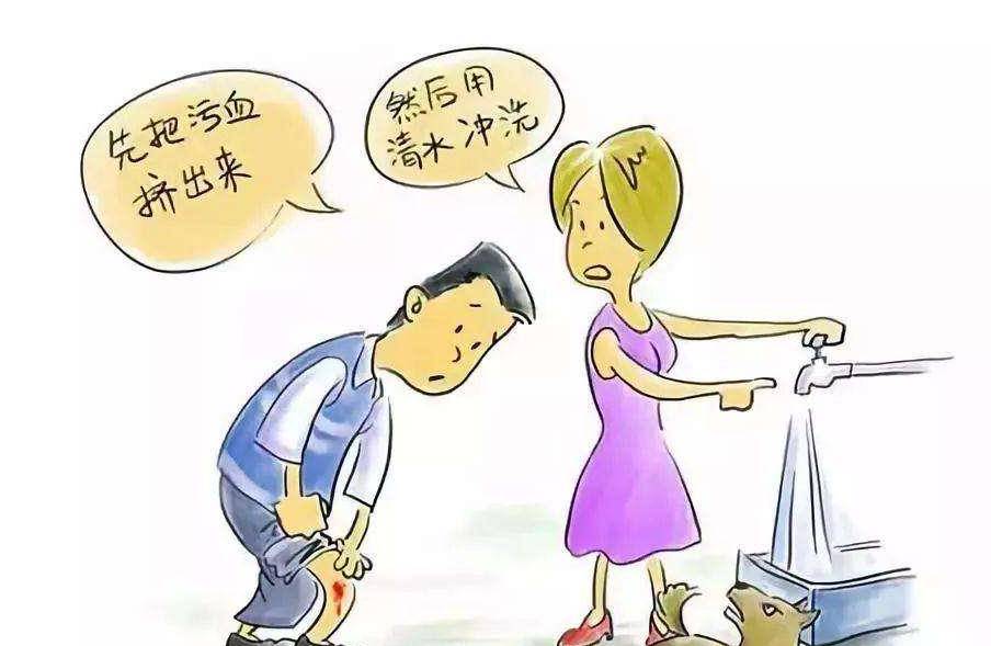 bcac7b355de7486bb87bea98e619d349.jpeg
