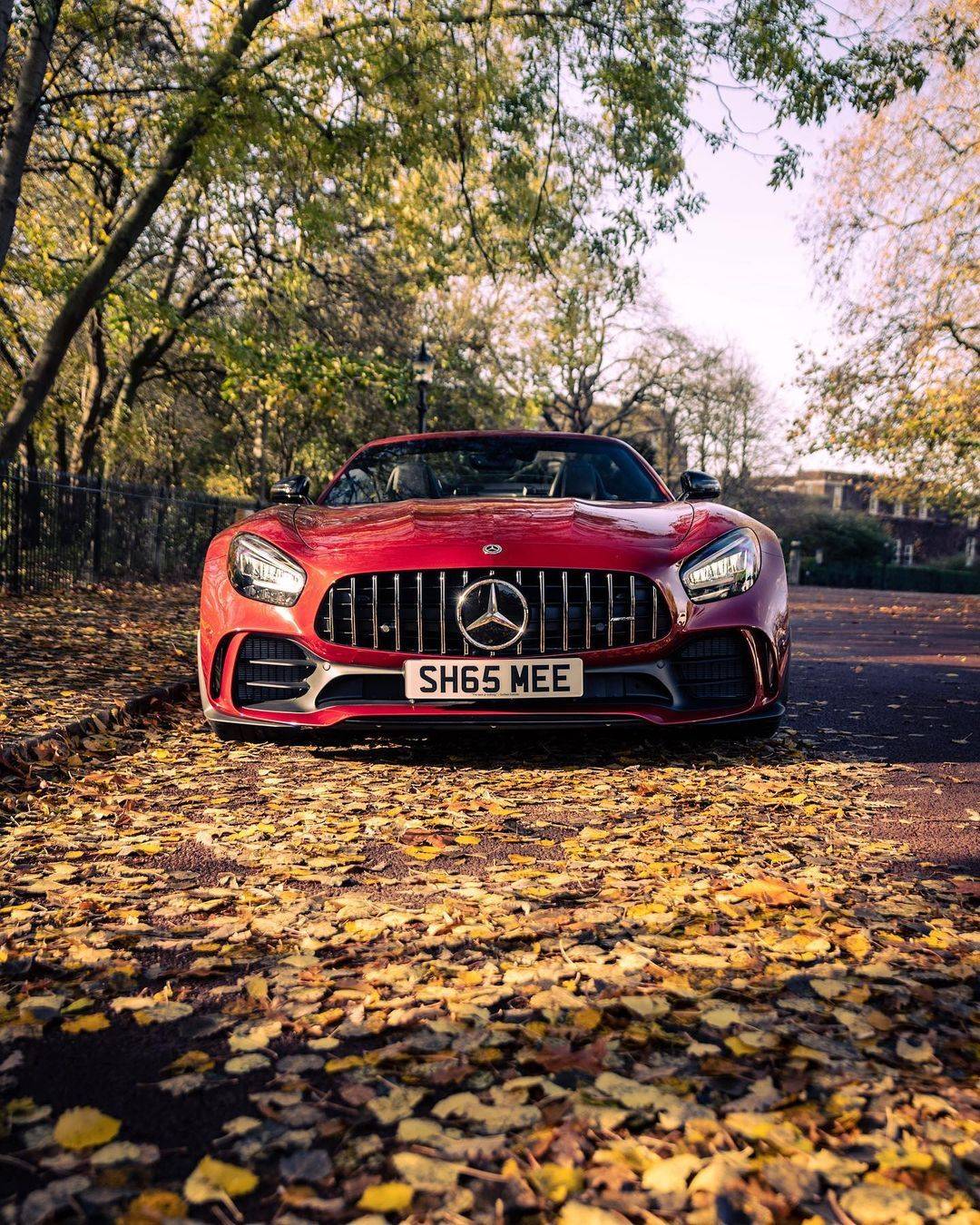 奔驰amg gtr